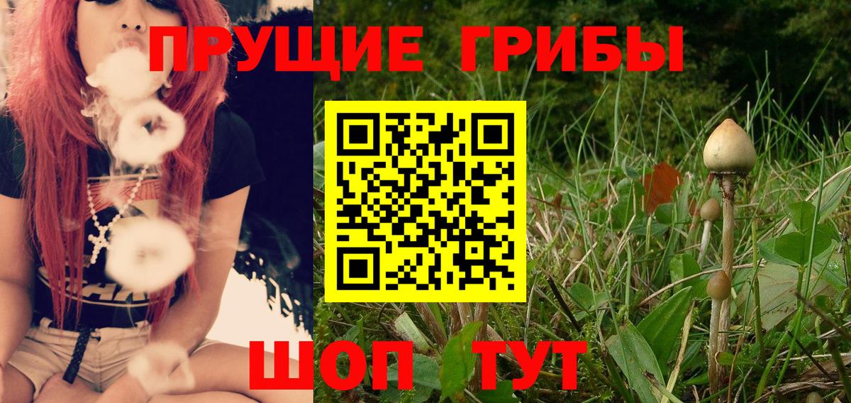 Псилоцибиновые грибы мухоморы Гусь-Хрустальный