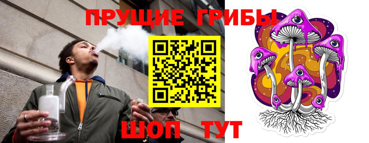 Галлюциногенные грибы мухоморы  цены наркотик  Гусь-Хрустальный  Вход с VPN 