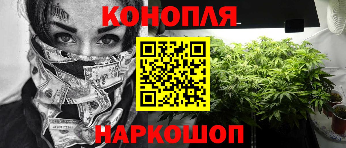 Конопля план  Вход с VPN  Гусь-Хрустальный  Бошки Шишки семена  Шишки марихуана сатива  Марихуана семена 
